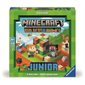 Minecraft Builders & Biomes Junior