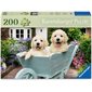 Casse-tête Ravensburger - Chiots Golden Retriever - 200 pièces XL