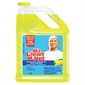 Nettoyant désinfectant multi-surfaces 3,78 L