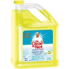 Mr. Clean® Multi-Surface Cleaner summer citrus 3.78 liters