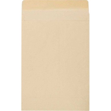 Kraft Expandable Envelope 10 x 13 in.