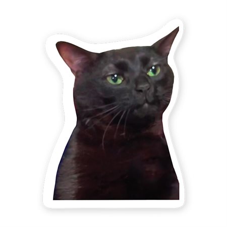AUTOCOLL. VINYLE CHAT
