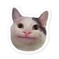 AUTOCOLL. VINYLE CHAT SOURIANT