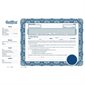 Share certificate Incorporated under the Canada Business Corporation Act blue