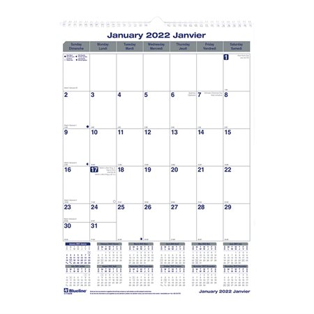 Net Zero Carbon™ Wall Calendar (2025)