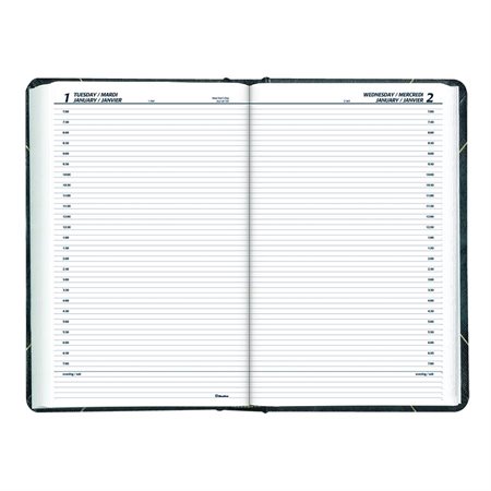 Daily diary (2015)
