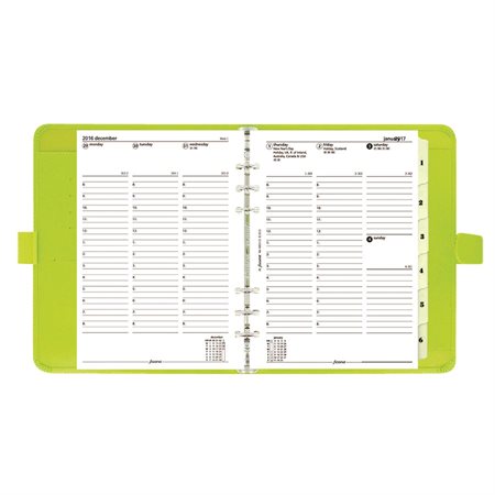 Saffiano A5 Organizer (2019) pear