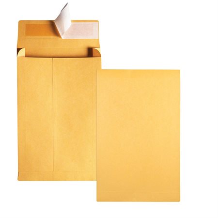 Redi-Strip™ Kraft Expansion Envelope 9 x 12 in.