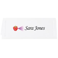 Overtures® Traditional Place Card white