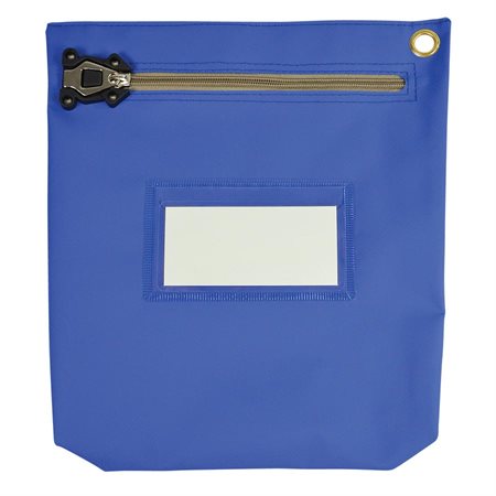 Security Bag 10 x 10 in.