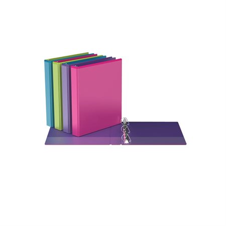 Bicolour Ring Binder 1 in. (225 sheet capacity)