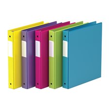 Ring Binder 1 in. (225-sheet capacity)