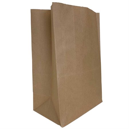 Paper Bag