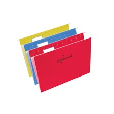 Hanging File Folders Letter size assorted colours