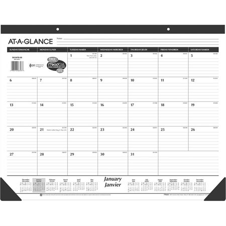 Monthly Desk Pad Calendar (2025)