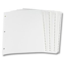 Pre-Printed Dividers 1-100