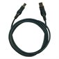 Series A / B USB Cable USB 2.0 10'