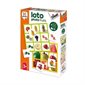 DISET, LOTO PHOTO FRUITS