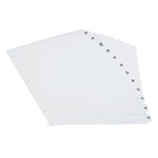 Poly Pre-Printed Dividers JAN-DEC