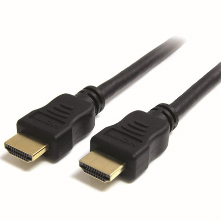 Câble HDMI haute vitesse 10 pieds