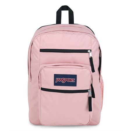 Big Student Backpack Dedicated laptop compartment pink
