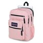 Big Student Backpack Dedicated laptop compartment pink
