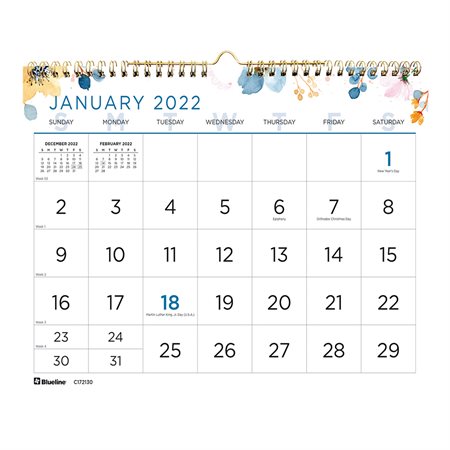 Large Print Monthly Wall Calendar (2025) 11 x 8 in.