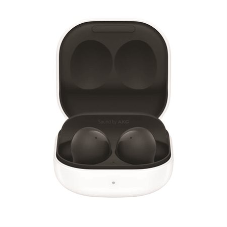 Écouteurs Samsung Galaxy Buds2 noir