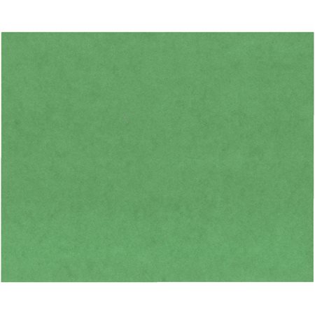 Colour cardstock dark green