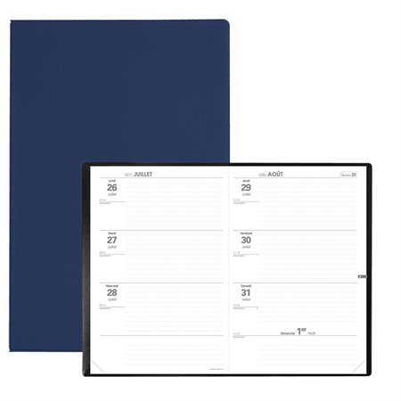 Scholar Academic Diary (2024-2025) blue