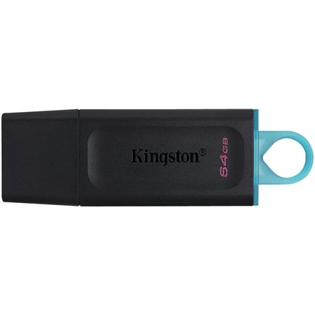 DataTraveler USB Flash Drive 64 GB black and blue