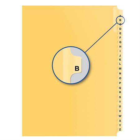 Alphabetical Litigation Index Dividers B