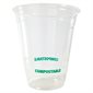 Eco Guardian Clear PLA Cold Cup 16 oz