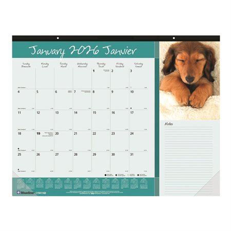 Calendrier sous-main mensuel amis fidèles (2026)