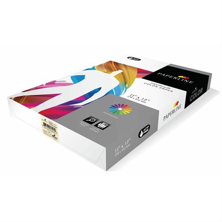 Paperline - Papier à usages multiples 1501