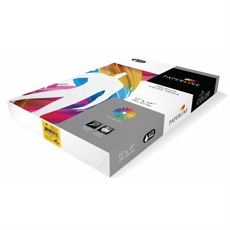 Paperline - Papier à usages multiples 1513