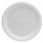 Compostable Plates