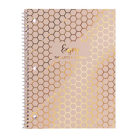 Haze Noteboook taupe