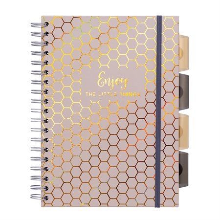 Pukka Pads Haze Project Book taupe