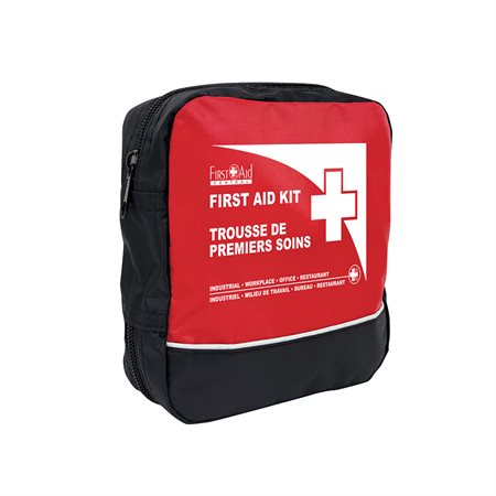 Federal Type A First Aid Kit In a nylon bag