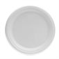 Round Compostable Plate