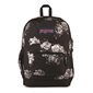 BACKPACK JANSPORT C.TOWN+ MAG.