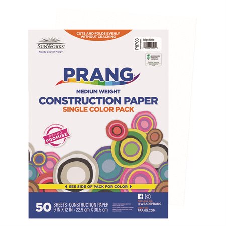 Construction Paper 9 x 12 in (package of 50) bright white