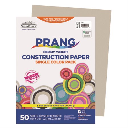 Construction Paper 9 x 12 in (package of 50) grey
