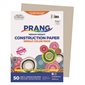 Construction Paper 9 x 12 in (package of 50) grey