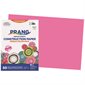 Construction Paper 12 x 18 in (package of 25) hot pink