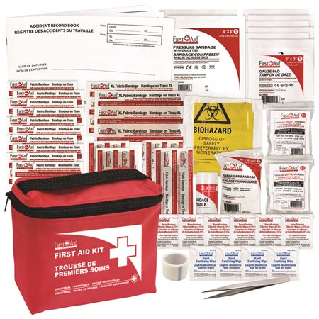 Basic First Aid Kit Nylon