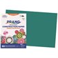 Construction Paper turquoise