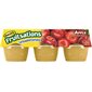 Fruitsations pomme non sucrée
