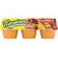 Fruitsations pêche non sucrée